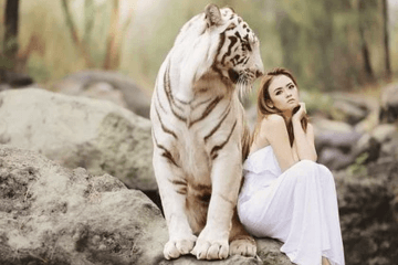 幽默句子发朋友圈心情短语