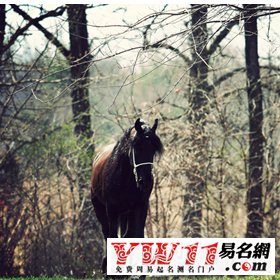 2015非主流女生网名