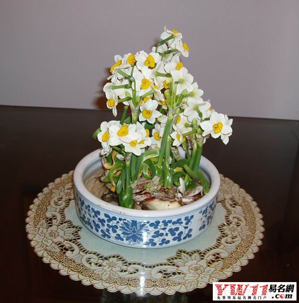 水仙花