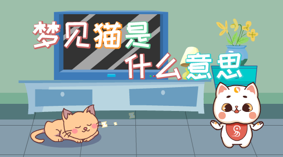 梦见猫是什么意思?