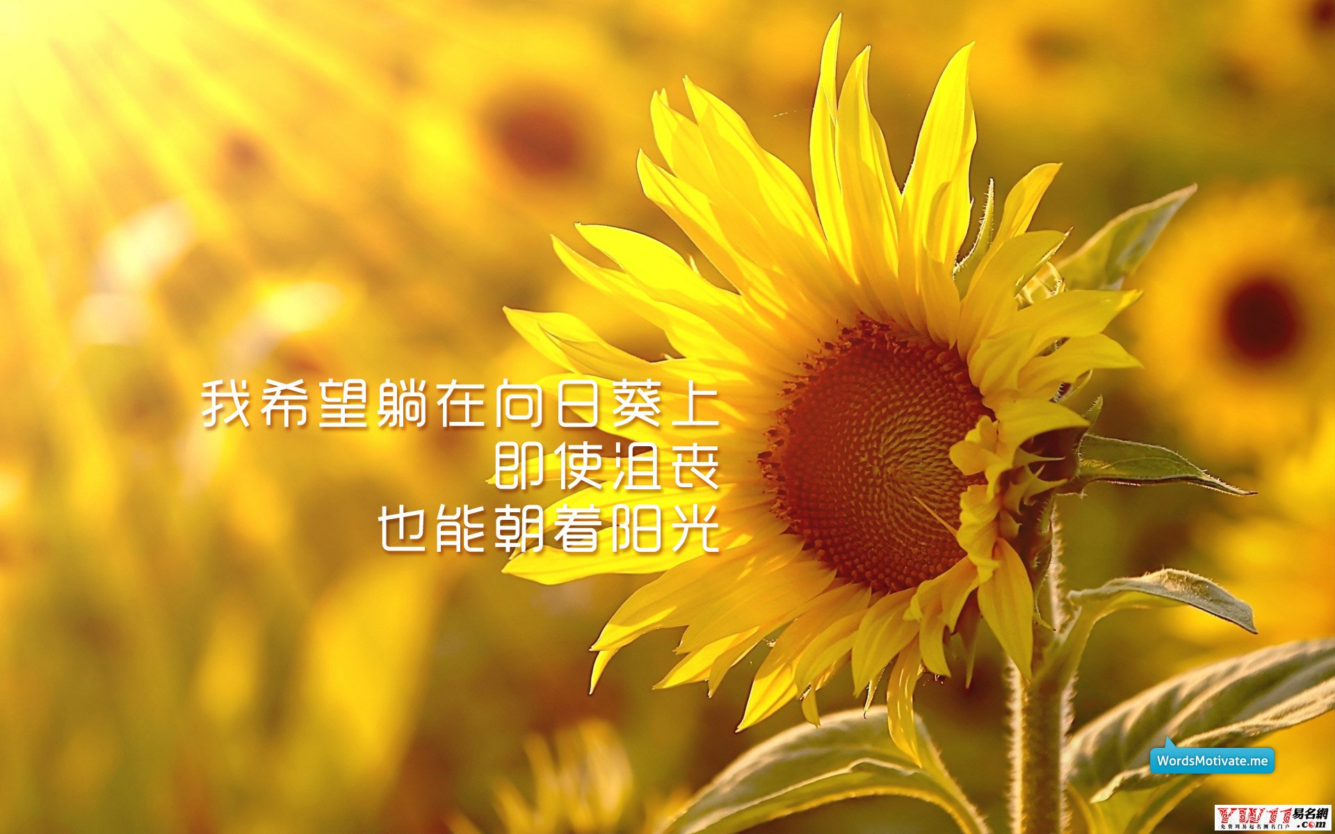 最新励志名言