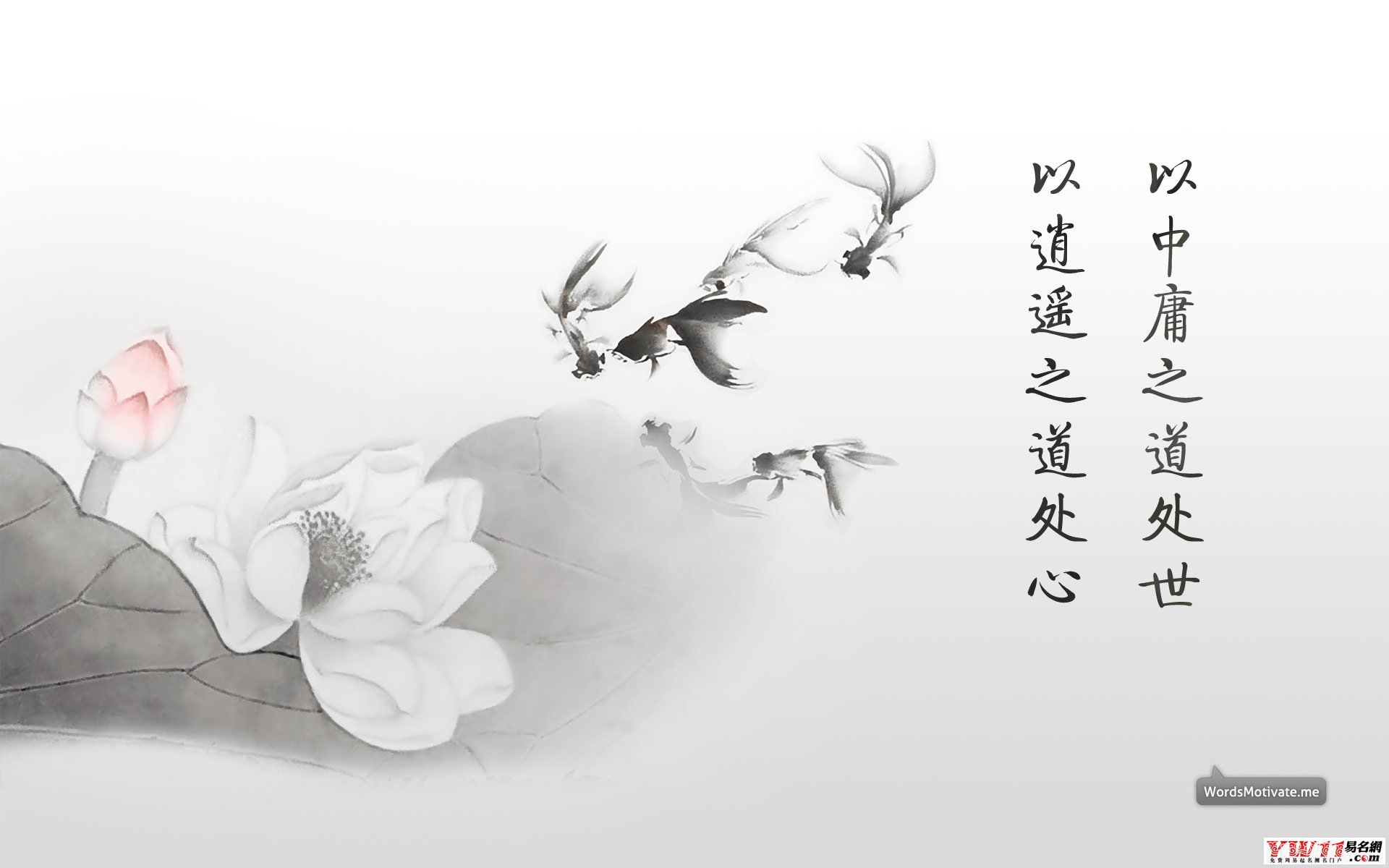 最新励志名言