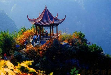 重阳节祝福语