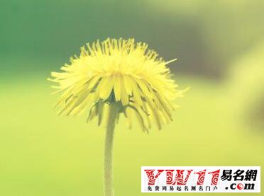 扣扣分组设计