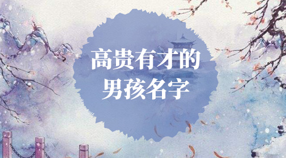 高贵有才的男孩名字