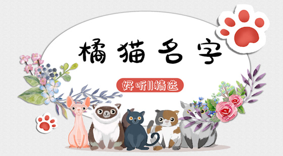 热门