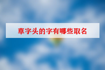 草字头的字有哪些取名