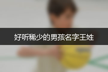 好听稀少的男孩名字王姓
