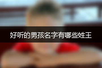 好听的男孩名字有哪些姓王