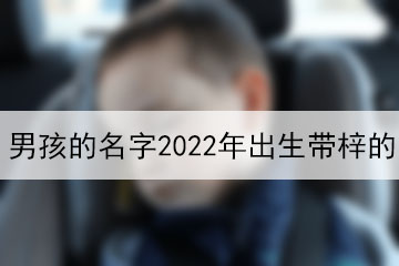 男孩的名字2022年出生带梓的