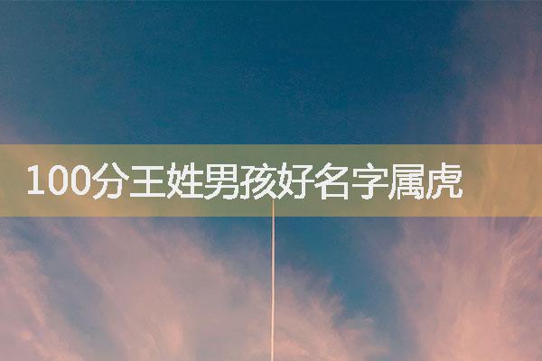 100分王姓男孩好名字属虎