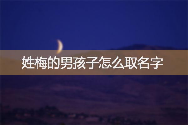 姓梅的男孩子怎么取名字